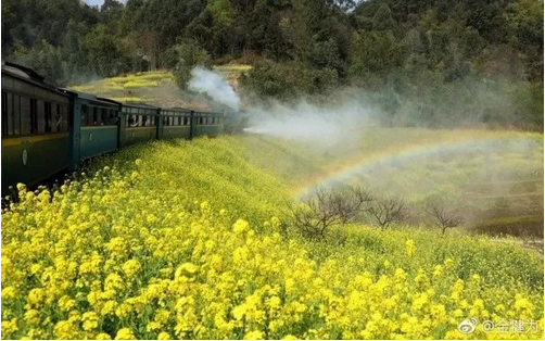 坐上嘉阳蒸汽小火车 开启一段全新的春天之旅