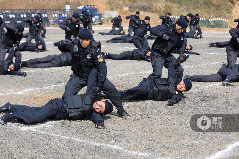 南昌市公安特警开展实兵实战演练(图)_江西频道_凤凰网