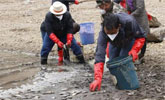 香格里拉近10吨鱼类死亡 因湖水污染和群众放生