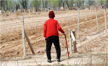 九旬老太第一次看清老伴墓碑