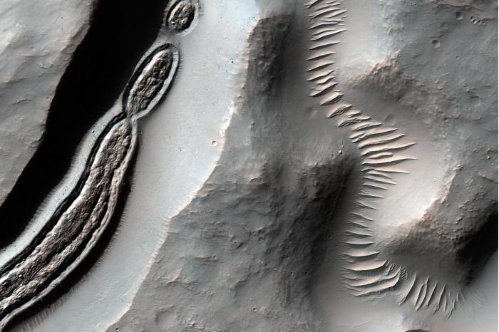 NASA公布火星怪诞照：陨石坑形似细菌