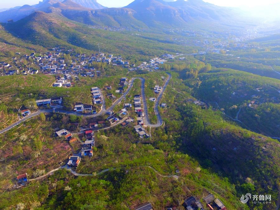 省临沂市平邑县地方镇大峪沟数万亩山岭坡地披上了色彩斑斓的"春装"