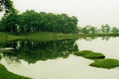 五河县的GDP_五河县小溪小学邓加丽