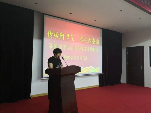 醉美汝阳：探索全域旅游新路子 打造“西泰山+甪里艾”康养游模式