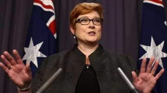 澳大利亚国防部长佩恩接替辞职的毕晓普成为新任外交部长