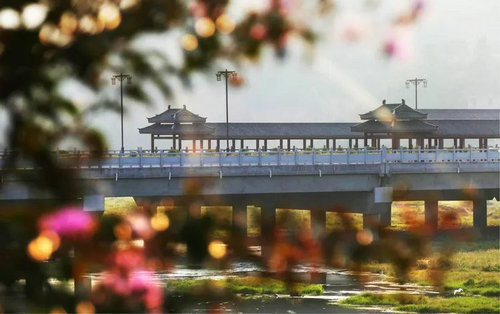 汝河湿地美 精灵来安家