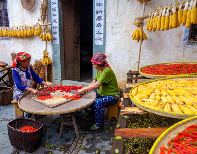 轻风乍起美食篇合集 1d2c7e15867396b.jpg