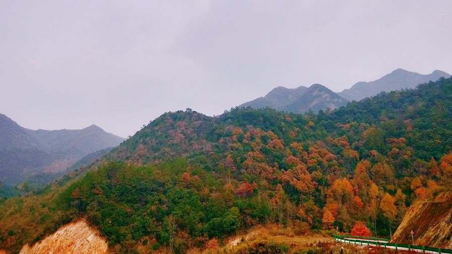 自驾金寨行 最美风景都在这条中国红岭公路自驾线上!