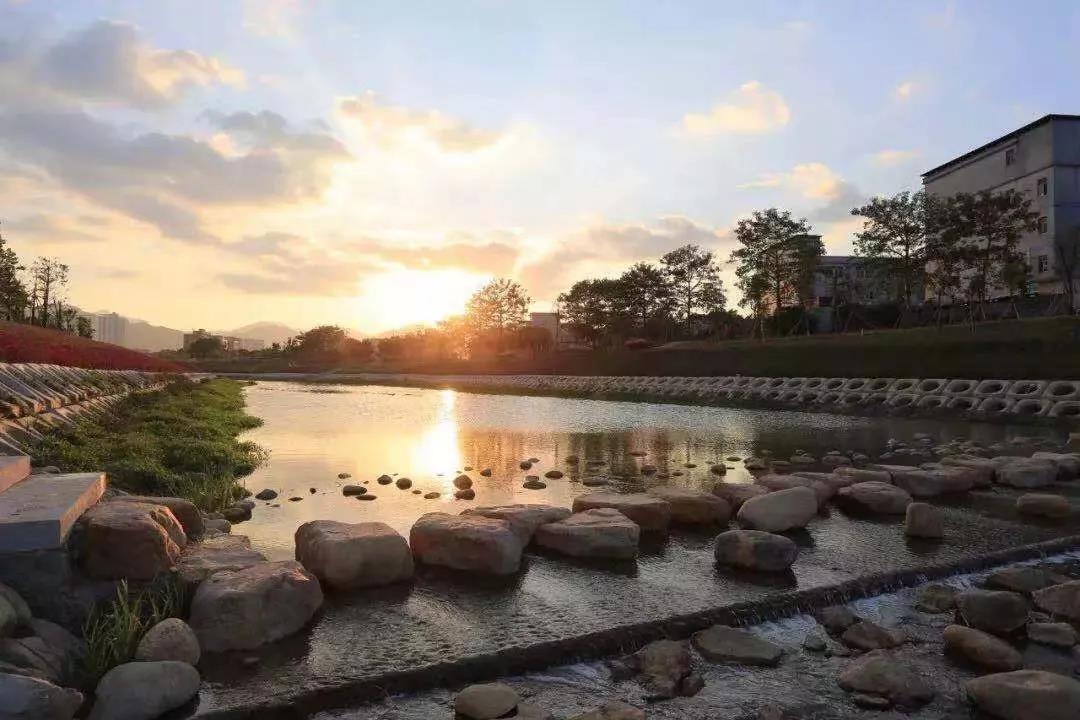 守护绿水青山深圳坪山区获授国家生态文明建设示范区称号