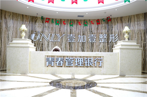 西安医疗美容医院排行_西安画美医疗美容医院“首届国际整形节”启幕