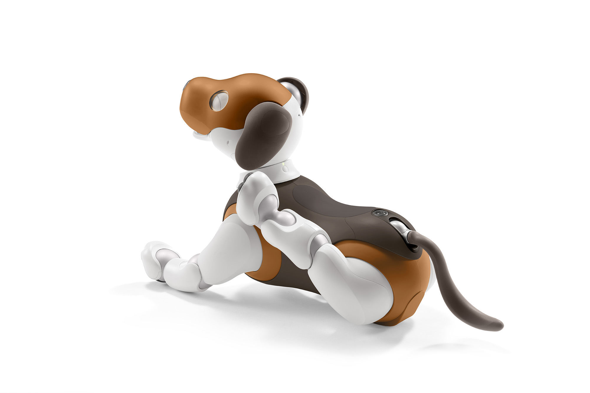 索尼公布2019限定款巧克力色智能机械狗aibo