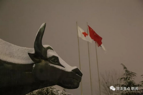 菏泽的雪中景雪中情！雪夜拍摄八个小时，有人爱得热烈、有人活得真诚…