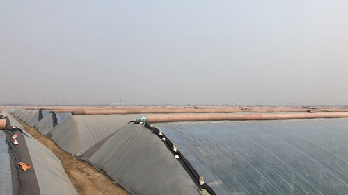 乡村振兴恒丰模式结硕果 金融活水助力灾后重