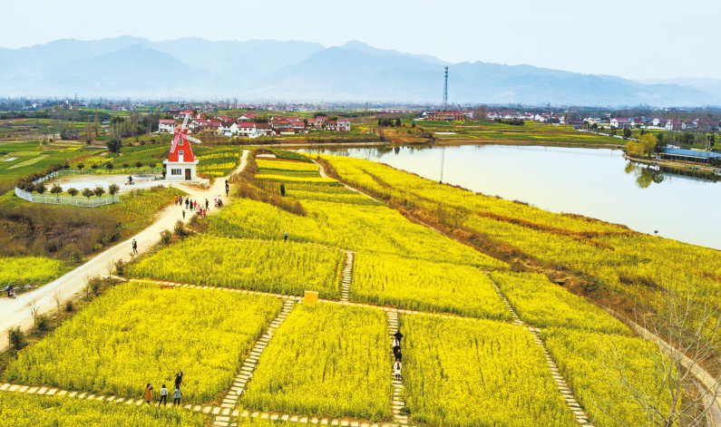 2019中国最美油菜花海汉中旅游文化节启动_陕西频道_凤凰网