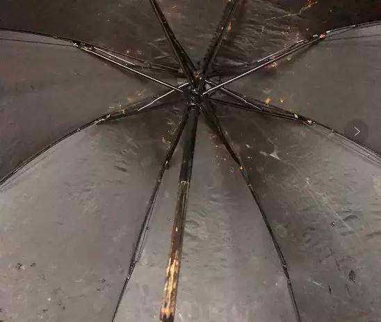 说到坚固,就不得不提及伞的材质和构造 这款十骨晴雨伞结构采用的是