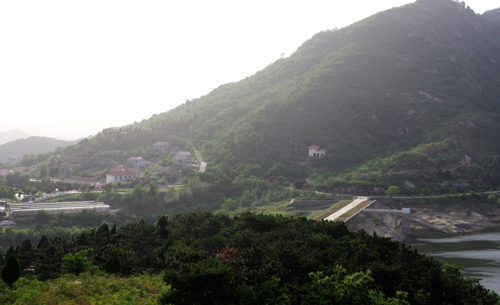 泰山山水滋养泰山万物，更滋养了泰山灵芝