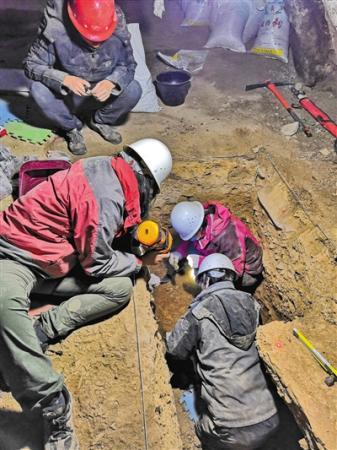 大阳城集团娱乐网站app666远古智人16万年前已经登上青藏高原(图2)