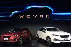 自主高端品牌 除了逼格它们还想干嘛？