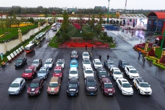 自主品牌销量爆发 占比远超德日系总和