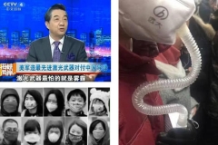 不做雾霾的绿萝 4款中级混动车推荐