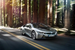 谨记行车八大忌，安全出行最重要！