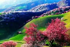 中国6大最美春季自驾地 再不去就老了