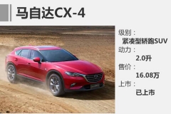 3月将上市的24款新车全在这