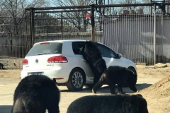 为了孩子安全，乘车时一定要注意这些细节