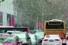 国内这些违章简直太冤了！看看你中招了吗