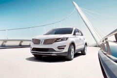 听说林肯要国产，群主连夜召开了会议