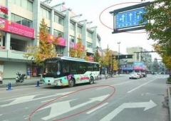 地面标线和标牌上的不一样？交警告诉你应该这样做！