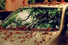 实用丨车辆长期不开容易导致提前报废