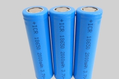 各显神通 大揭秘电池的奥秘世界！