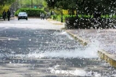 春天杨絮漫天，驾驶员出行需注意什么？