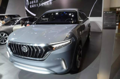 直击上海车展，这些全新品牌是来抢地盘还是打酱油？