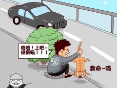 2017碰瓷新套路？碰到你就这样“怼”他！