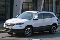 全新斯柯达野帝 颜值大变堪称小柯迪亚克