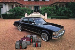 跨越种族的爱情 汽车与时尚的混血结晶