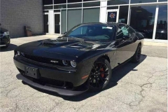 在这款车面前 野马和大黄蜂沦为了小马驹