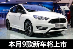 本月9款新车将上市 自主品牌占半壁江山