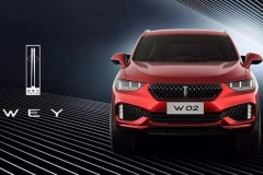 领克＆蔚来，希望你们能革了中国汽车的命！