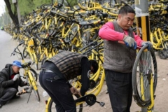 ofo员工爆出猛料 内部存严重贪腐