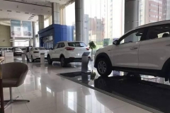 2015年狂飙突进之后：北京现代进入本土战略调整期