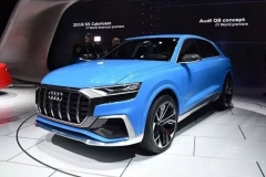 奥迪有望推全新SUV 或将成为“最贵车型”