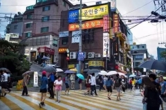 涨姿势！！快来看看国外是怎么礼让斑马线的~