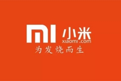 你们的小米也要做汽车？