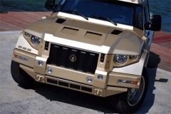 成都车展最受期待的6款中国SUV，个个比外国车拉风