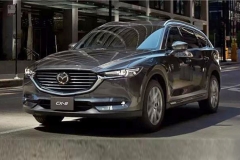 跟途昂这么大的7座SUV，今年还有4台要来！