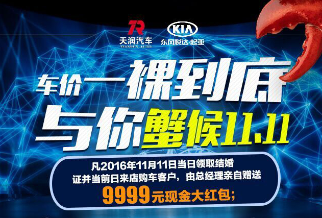 天润起亚团购会