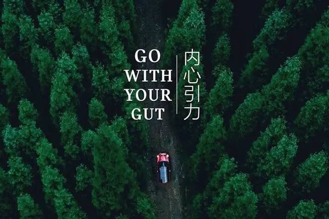 “MINI 创享沙龙”